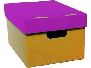 Κουτί αρχειοθέτησης απο χαρτόνι με καπάκι Α3 21x32x44cm σε διάφορα χρώματα