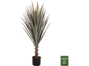 ΔΙΑΚΟΣΜΗΤΙΚΟ ΣΥΝΘΕΤΙΚΟ ΦΥΤΟ HM7987 SISAL AGAVE ΣΕ ΓΛΑΣΤΡΑ 120Υεκ.