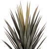 ΔΙΑΚΟΣΜΗΤΙΚΟ ΣΥΝΘΕΤΙΚΟ ΦΥΤΟ HM7987 SISAL AGAVE ΣΕ ΓΛΑΣΤΡΑ 120Υεκ.