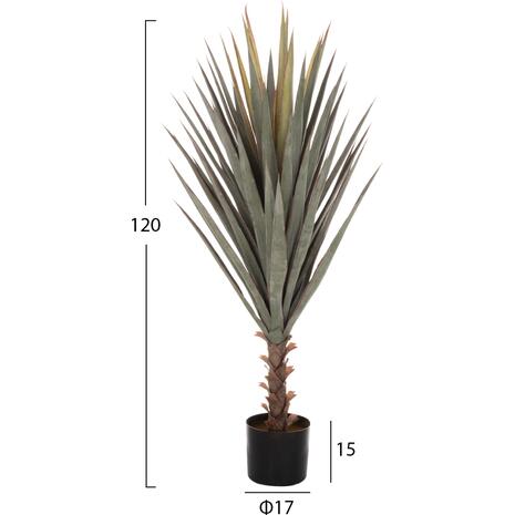 ΔΙΑΚΟΣΜΗΤΙΚΟ ΣΥΝΘΕΤΙΚΟ ΦΥΤΟ HM7987 SISAL AGAVE ΣΕ ΓΛΑΣΤΡΑ 120Υεκ.