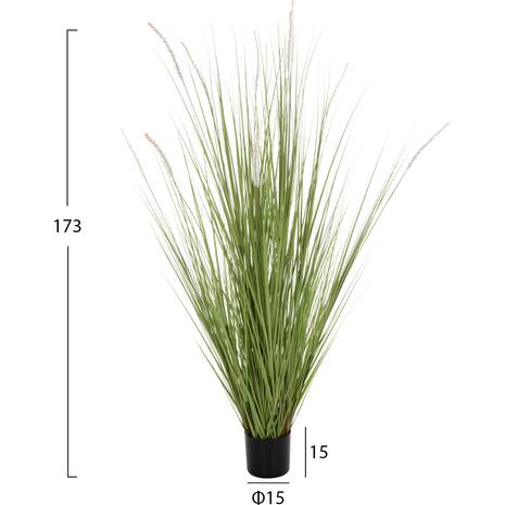 ΔΙΑΚΟΣΜΗΤΙΚΟ ΣΥΝΘΕΤΙΚΟ ΦΥΤΟ HM4017 BRISTLEGRASS ΣΕ ΓΛΑΣΤΡΑ 173Υεκ.