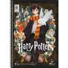 Τετράδιο Salko μονό σπιράλ "Harry Potter & Deathly Hallows V.2" 2 Θεμάτων 17x25 120φ (7362) (σε διάφορα σχέδια)