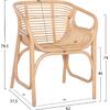 ΠΟΛΥΘΡΟΝΑ MEL ΕΣΩΤ. ΧΩΡΩΝ HM9954.01 ΦΥΣΙΚΟ RATTAN 62x57,5x79,5Υεκ.